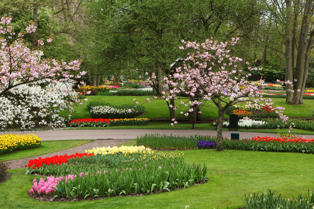 10 Tips to Prepare Your Landscape for Spring